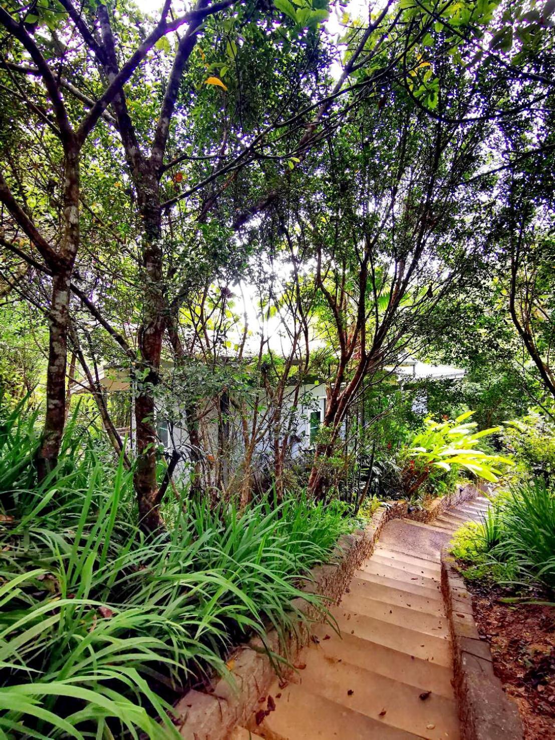 Bangnu Greenery Resort Takua Thung Exterior photo