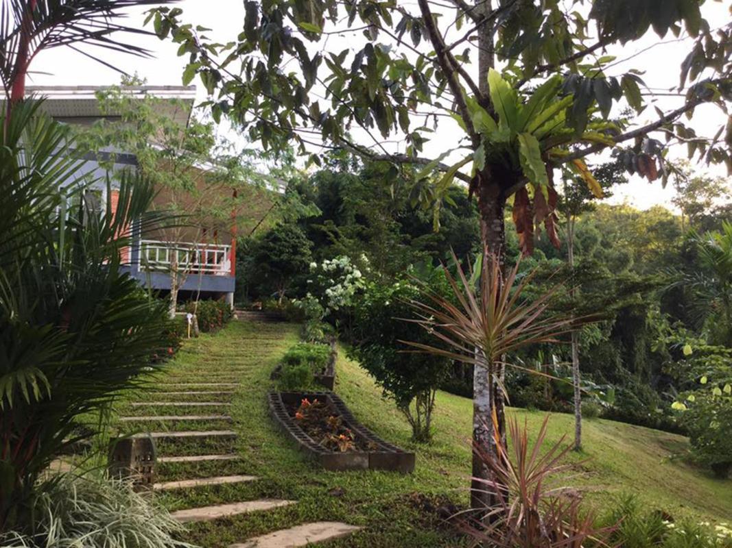 Bangnu Greenery Resort Takua Thung Exterior photo