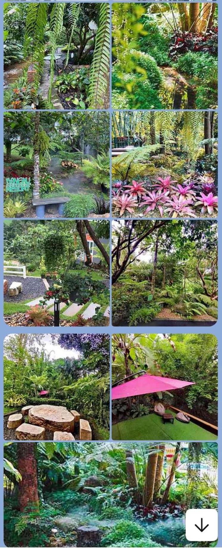 Bangnu Greenery Resort Takua Thung Exterior photo